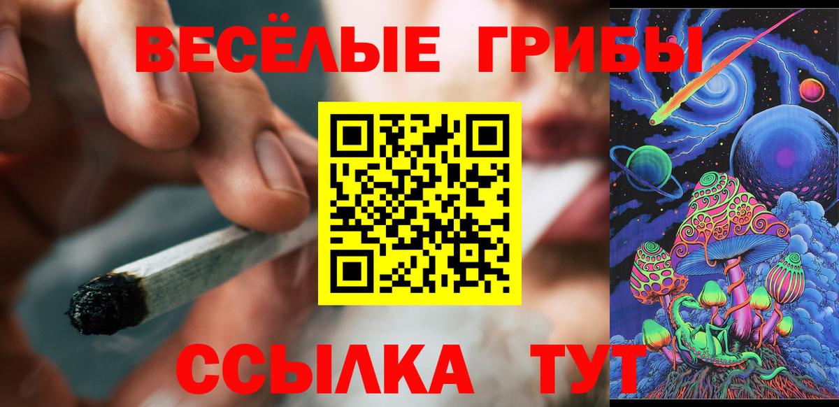 Галлюциногенные грибы Psilocybine cubensis  Вход с VPN  Заринск  Галлюциногенные грибы мухоморы 